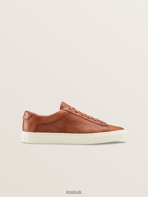 Shoes UK KOIO Men Capri Regenerative Castagna 2XJF6H37